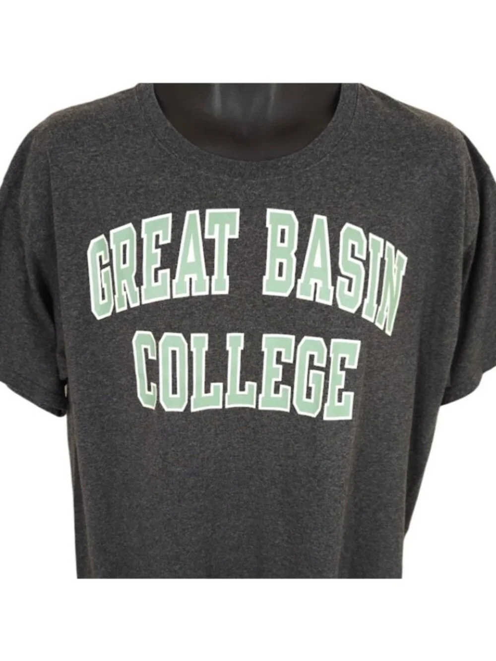 Great Basin College T Shirt Mens Size Large Gray Big Horn Sheep Nevada GBC - Picture 1 of 7